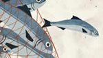 Taking a longer-term look at M&A value creation